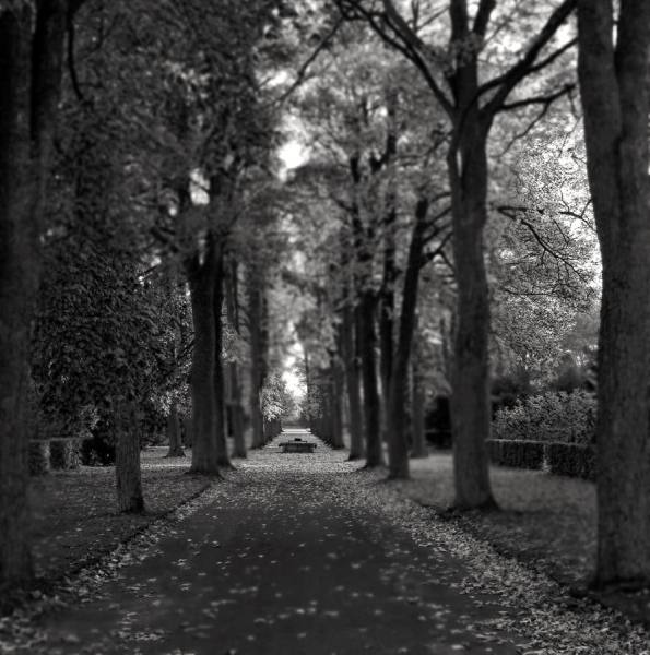 Photograph Jonny Paw Road on One Eyeland